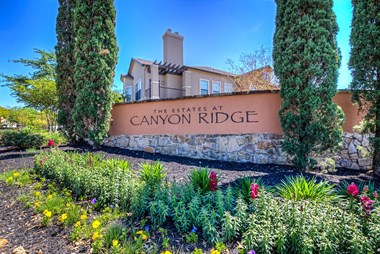 20614 Stone Oak Parkway 1-3 Beds Apartment for Rent Photo Gallery 1